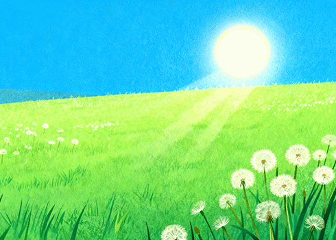 老七WordPress博客新主题与SEO插件介绍